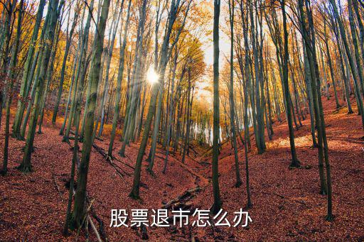 股票退市怎么办