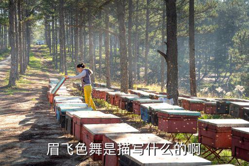 眉飞色舞是描写什么的啊
