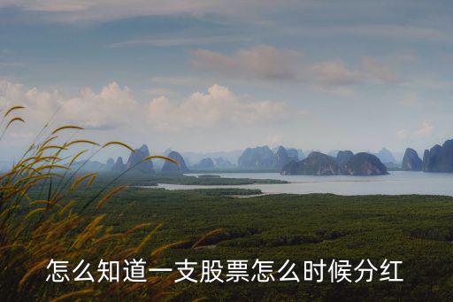 股票怎么知道分红，如何查询股票的分红数据