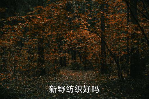 新野纺织股票怎么样，新野纺织好吗