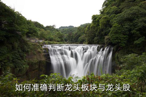 如何准确判断龙头板块与龙头股