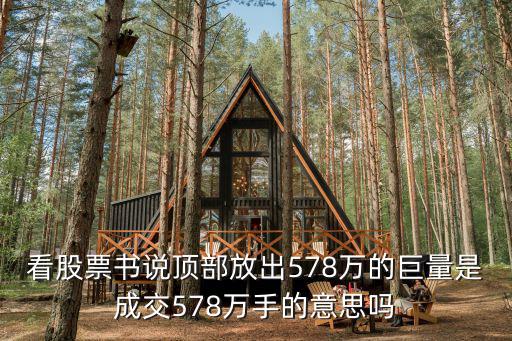 股票顶部买入什么意思，看股票书说顶部放出578万的巨量是成交578万手的意思吗