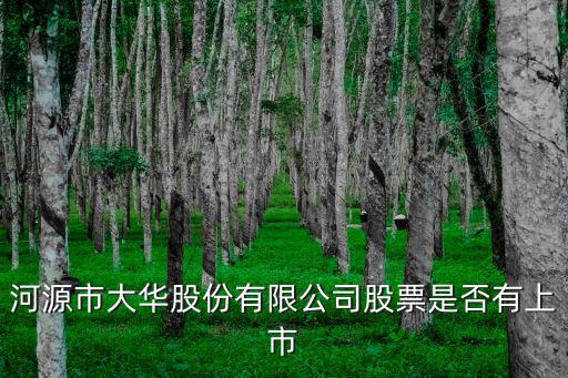 河源市大华股份有限公司股票是否有上市