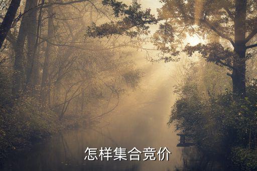 股票怎么集合竞价，股票集合竞价的规则是什么