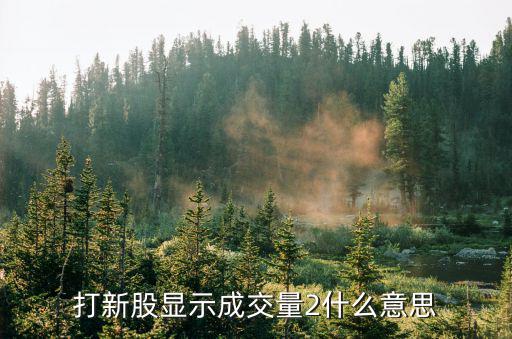 打新股显示成交量2什么意思