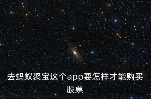 去蚂蚁聚宝这个app要怎样才能购买股票