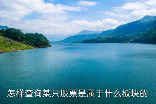 怎样查询某只股票是属于什么板块的