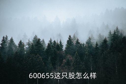600655这只股怎么样