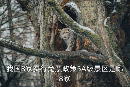 我国8家实行免票政策5A级景区是哪8家