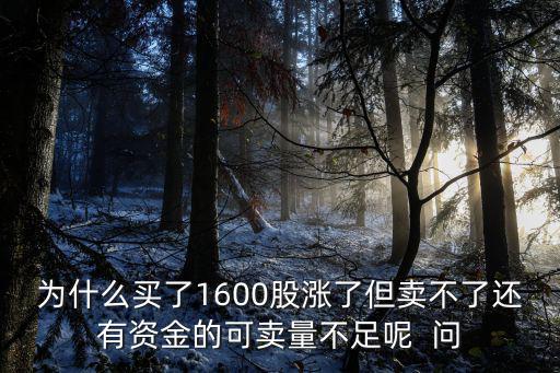股票为什么涨幅不好卖，为什么买了1600股涨了但卖不了还有资金的可卖量不足呢  问