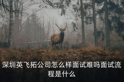 深圳英飞拓公司怎么样面试难吗面试流程是什么