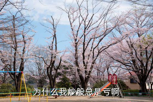 为什么我炒股总是亏啊