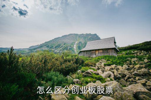 怎么区分创业板股票