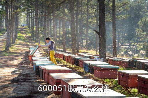 600051股票怎么样
