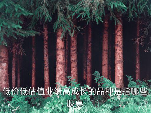低价低估值业绩高成长的品种是指哪些股票