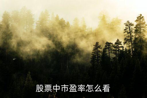 股票市盈率怎么看，股票中市盈率怎么看