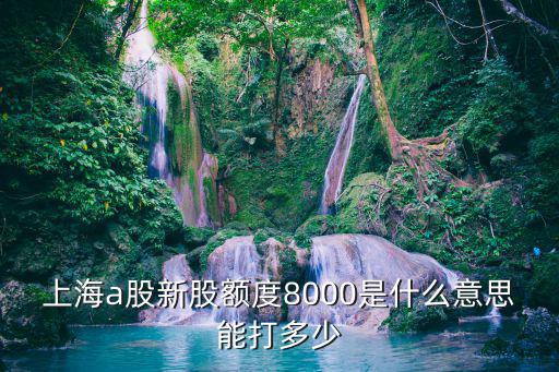 上海a股新股额度8000是什么意思能打多少