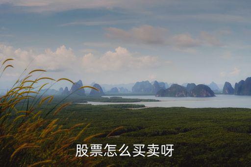 股票怎么买卖呀