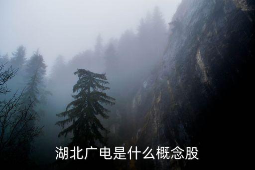 湖北广电前身是什么股票，这个叫什么股