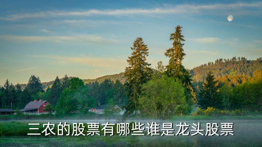 三农的股票有哪些谁是龙头股票
