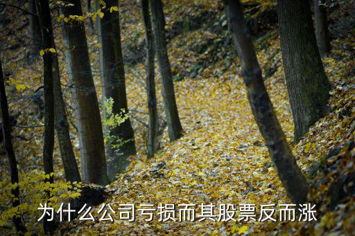 为什么公司亏损而其股票反而涨