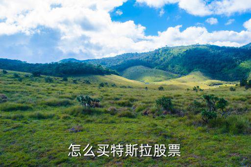 怎么买特斯拉股票
