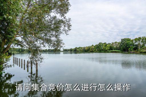 股票集合竞价怎么操作，集合竟价如何操作