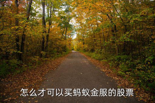 蚂蚁股票a股怎么买，怎么才可以买蚂蚁金服的股票