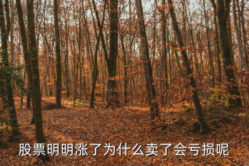 股票明明涨了为什么卖了会亏损呢