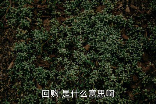 格力股票回购什么意思，回购股票是什么意思为什么要回购股票