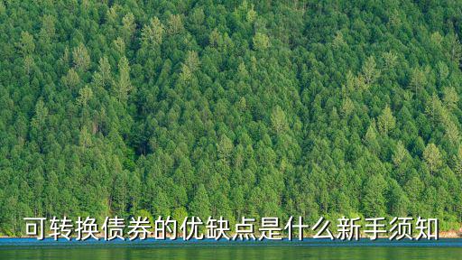 可转换债券的优缺点是什么新手须知