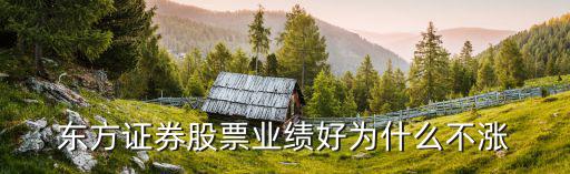 券商股票为什么强势不涨，券商股为什么不涨