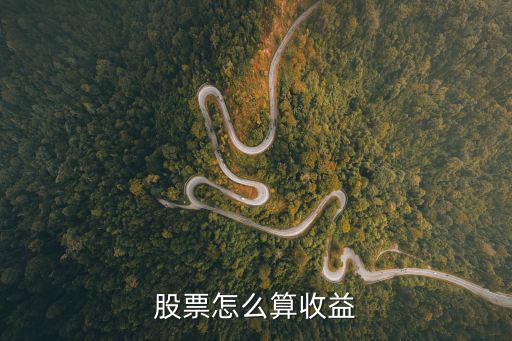 股票怎么算收益