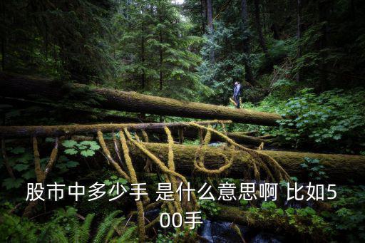 股市中多少手 是什么意思啊 比如500手