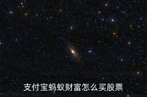 蚂蚁集团上市股票怎么买入，去蚂蚁聚宝这个app要怎样才能购买股票