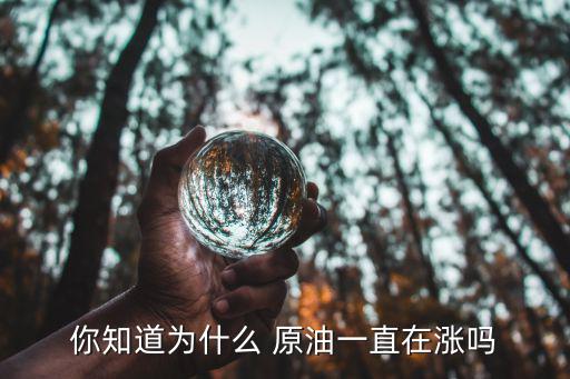 石油股票怎么会涨，石油价格上涨石油股票会涨吗