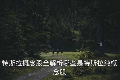 特斯拉概念股全解析哪些是特斯拉纯概念股