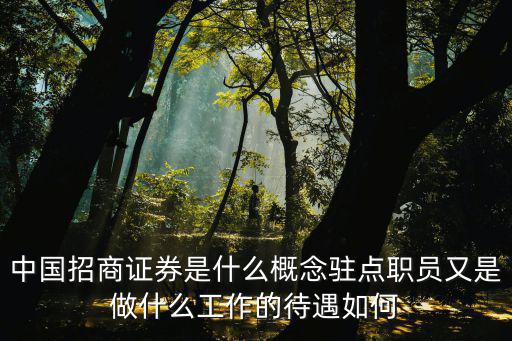股票驻点什么意思，中国招商证券是什么概念驻点职员又是做什么工作的待遇如何