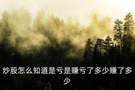 炒股怎么知道是亏是赚亏了多少赚了多少