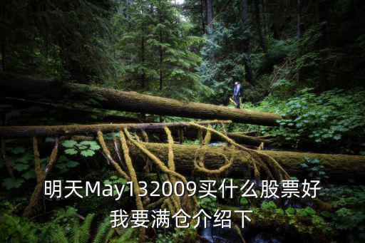 明天May132009买什么股票好我要满仓介绍下