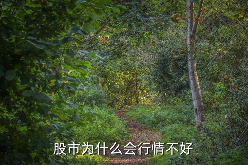 股市为什么会行情不好