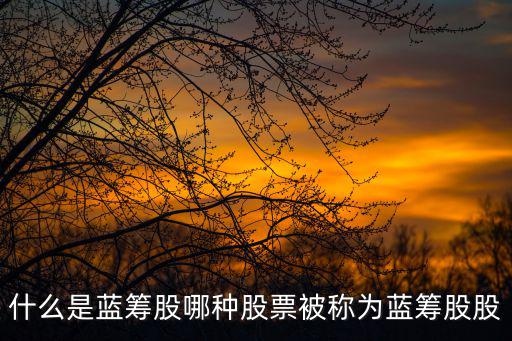 什么是蓝筹股哪种股票被称为蓝筹股股