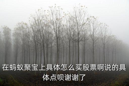 在蚂蚁聚宝怎么买股票，蚂蚁聚宝怎么买股票