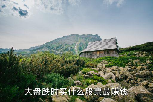 大盘下跌选什么股票好，大盘持续大跌选什么股好附目录