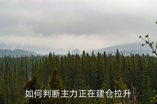 如何判断主力正在建仓拉升
