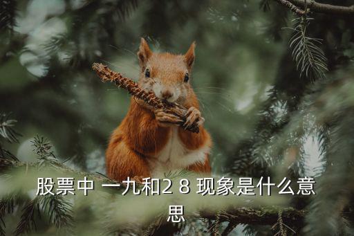 股票中 一九和2 8 现象是什么意思
