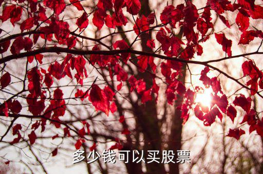 多少钱可以买股票