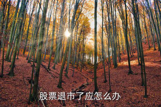 股票退市了应怎么办
