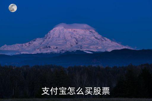 蚂蚁上市怎么买股票，怎么才可以买蚂蚁金服的股票