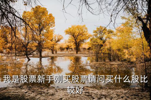 新客户可以买什么股票，我是股票新手刚买股票请问买什么股比较好